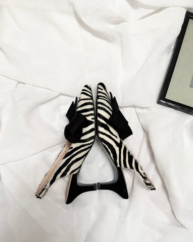 Pantofi Every Princess has a Dream Zebra